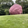 鷺湯公園の写真_936796