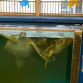 越前松島水族館の写真_942509