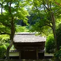 円覚寺の写真_948456