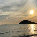 父母ヶ浜海岸の写真_951874