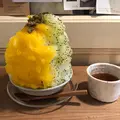 木と根の写真_952479