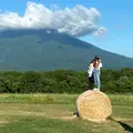高橋牧場ニセコミルク工房の写真_955746
