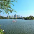 長風公園の写真_956362