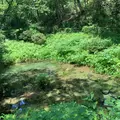 塩釜の冷泉の写真_956779