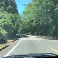 蒜山大山スカイラインの写真_956790