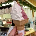 広瀬牧場 ウエモンズハートの写真_956891