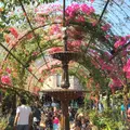 The Grounds of Alexandriaの写真_957447