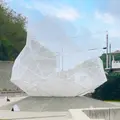 直島パヴィリオンの写真_959073