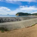 直島の写真_959074