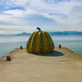 草間彌生「南瓜」の写真_959075