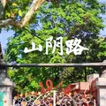 Shan Yin Luの写真_963734