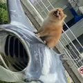 海洋博公園の写真_966118