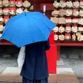 鶴岡八幡宮の写真_966301