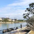 岩瀬運河の写真_966830