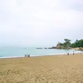 桂浜の写真_967395
