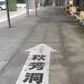 秋芳洞（バス）の写真_969897