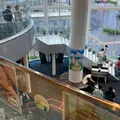 長野グランドシネマズの写真_973611