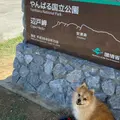 辺戸岬の写真_974555