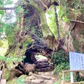生樹の御門の写真_979605