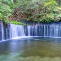 白糸の滝の写真_980390