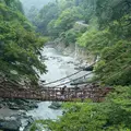 祖谷のかずら橋の写真_980647