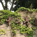 台中文学館の写真_981328