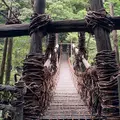 祖谷のかずら橋の写真_981645