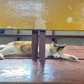 侯硐の写真_984850
