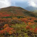 栗駒山の写真_985344
