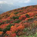 いわかがみ平の写真_985351