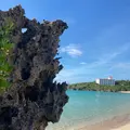 ウドノスビーチの写真_986185