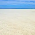 百合ヶ浜の写真_986186