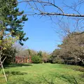勝本城跡の写真_992110