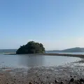 小島神社の写真_992128