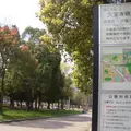 久宝寺緑地 子ども広場の写真_996099