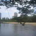 大阪ふれあいの水辺の写真_997558