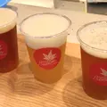 宮島ブルワリー（MIYAJIMA BREWERY）の写真_999185