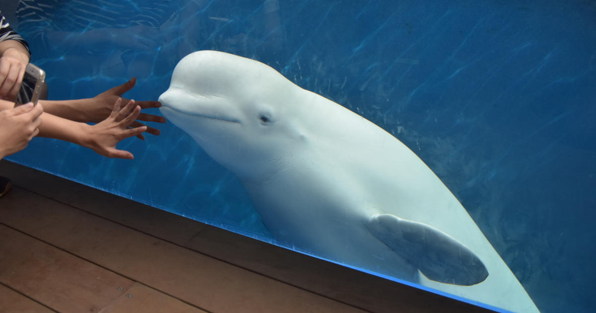 うみがたり最新体験レポート】新潟上越の水族館が丸ごとリニューアル 