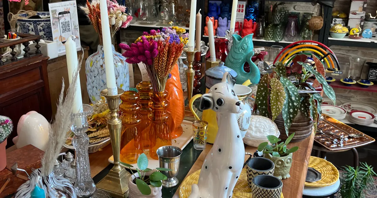 1349469.jpg?1690948348