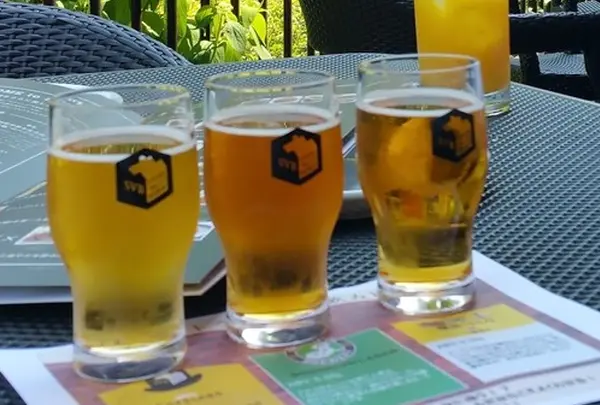 複数のビールが楽しめる