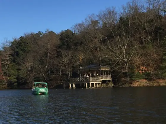 池側から見るとこんな感じ！