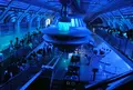 東京ディズニーランドの写真_24281