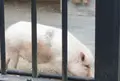 高鼻町４丁目の写真_27234