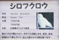 高鼻町４丁目の写真_27523