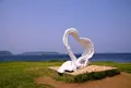 波戸岬の写真_1071722
