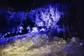 鳴沢氷穴の写真_127432
