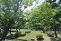 清澄公園の写真_135290