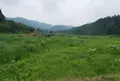 俵原の写真_139176