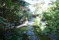 茶寮 宝泉の写真_206720