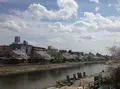 鴨川の写真_223632